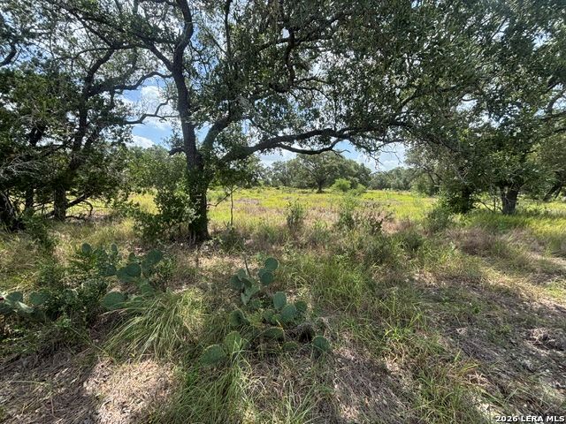 Lot 44 Pr 2535 Mico TX 78056