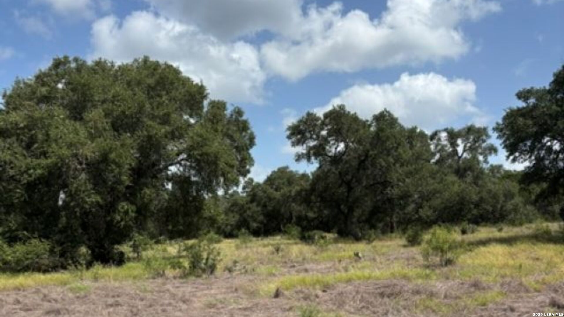 Lot 44 Pr 2535 Mico TX 78056