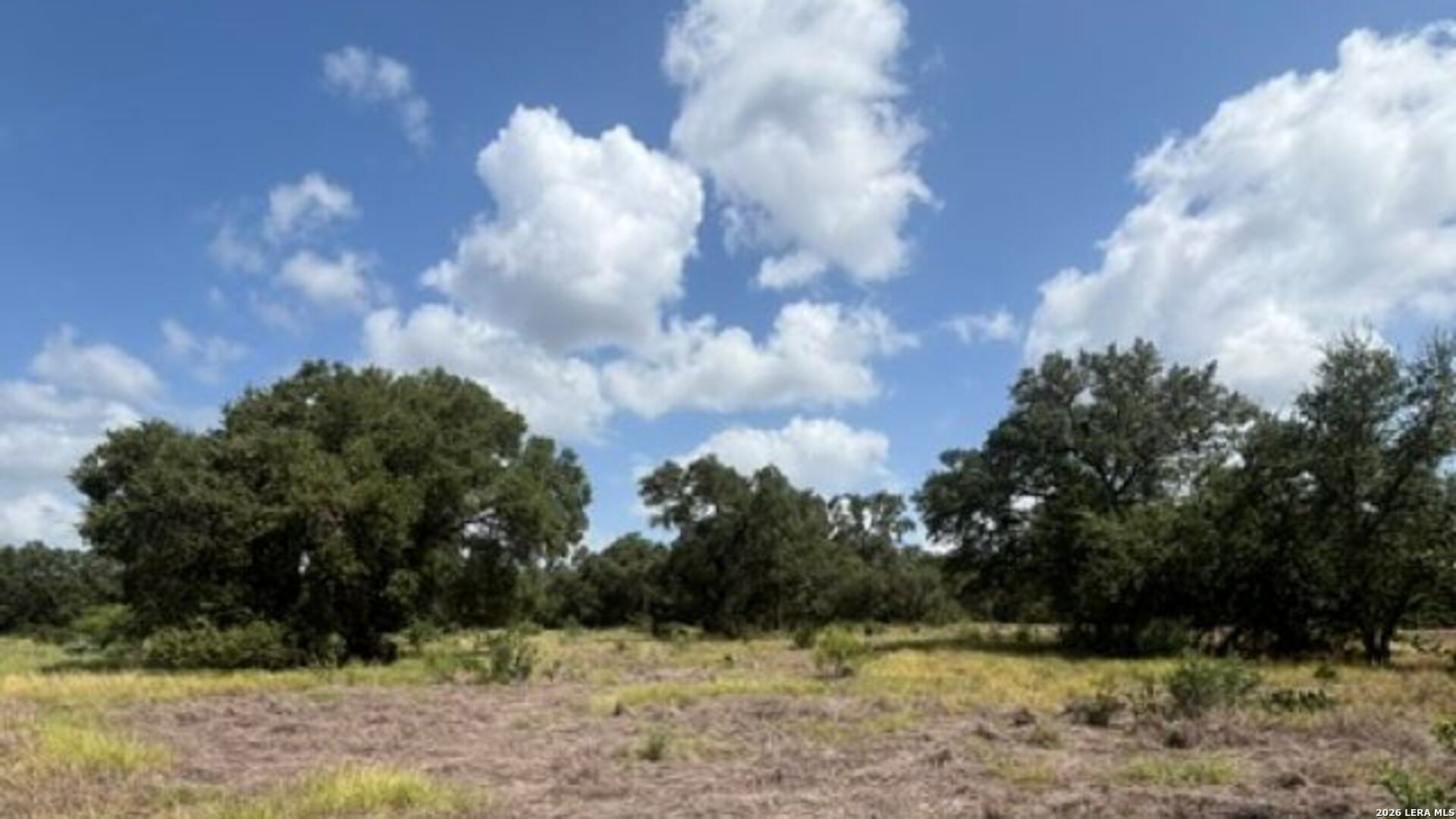 Lot 44 Pr 2535 Mico TX 78056