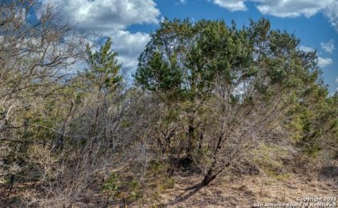 024 Leona Ranch Brackettville TX 78832