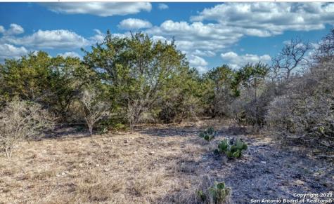 024 Leona Ranch Brackettville TX 78832