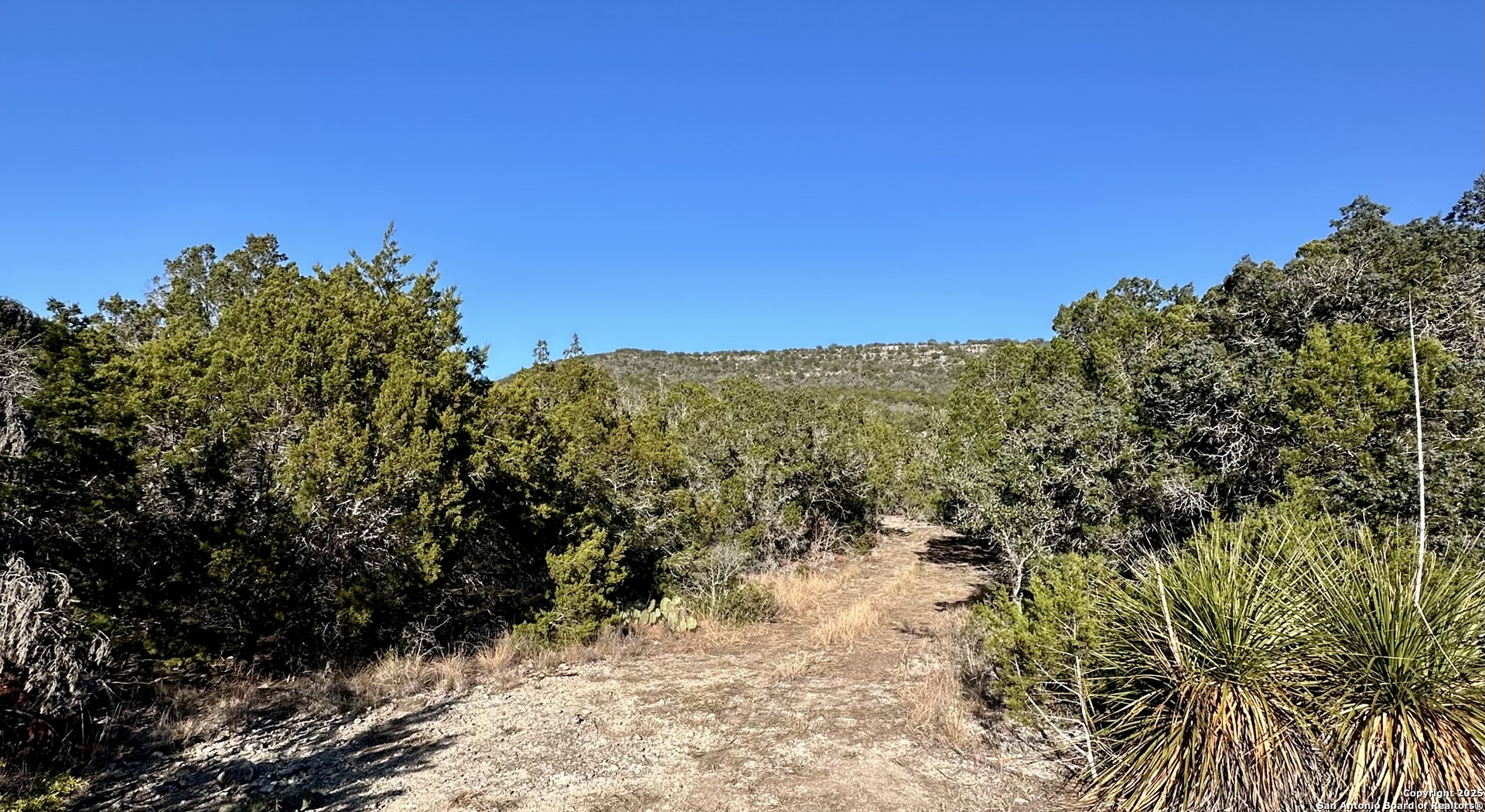 Lot 96 Black Jack Hollow Utopia TX 78884