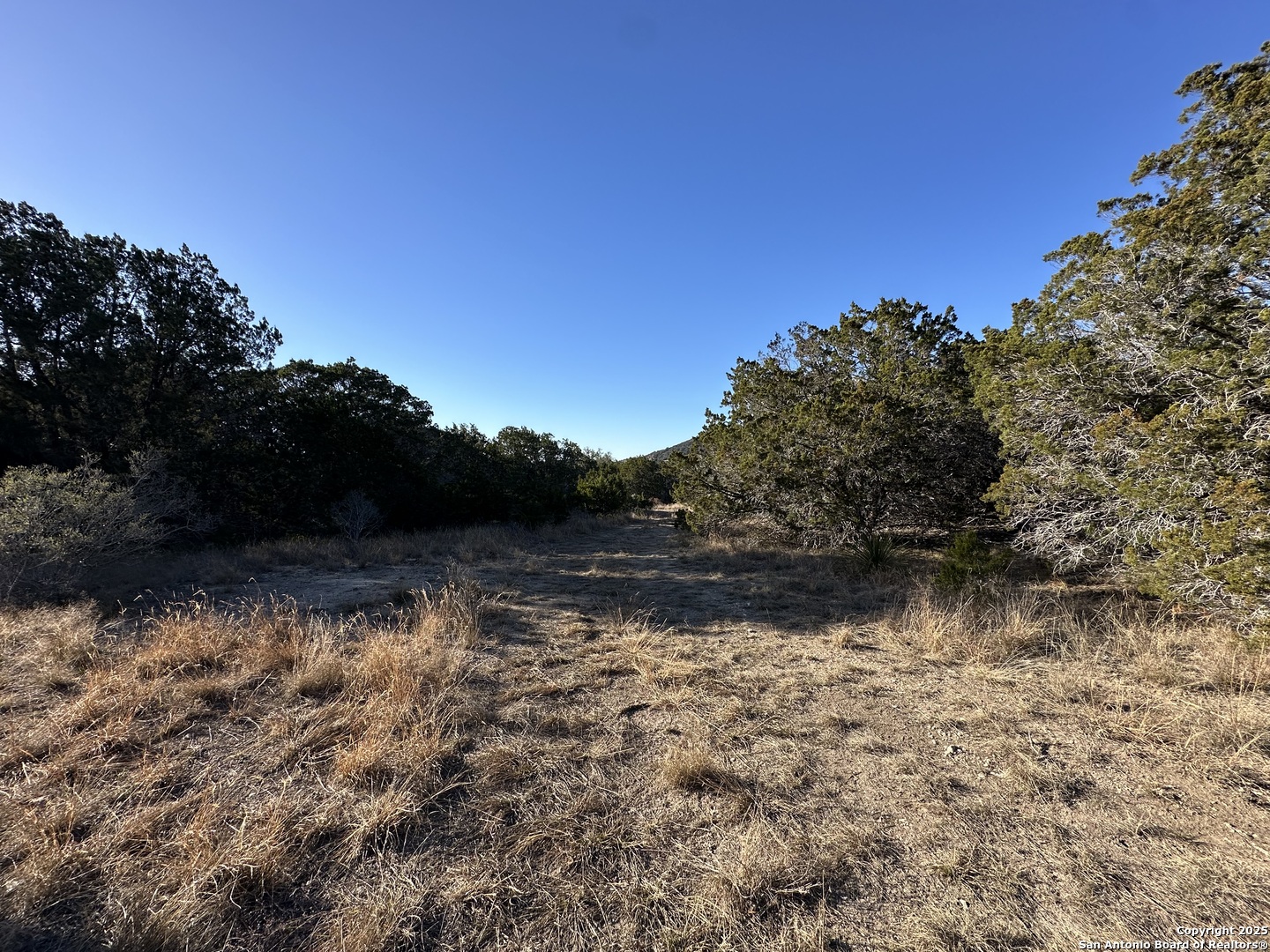 Lot 96 Black Jack Hollow Utopia TX 78884