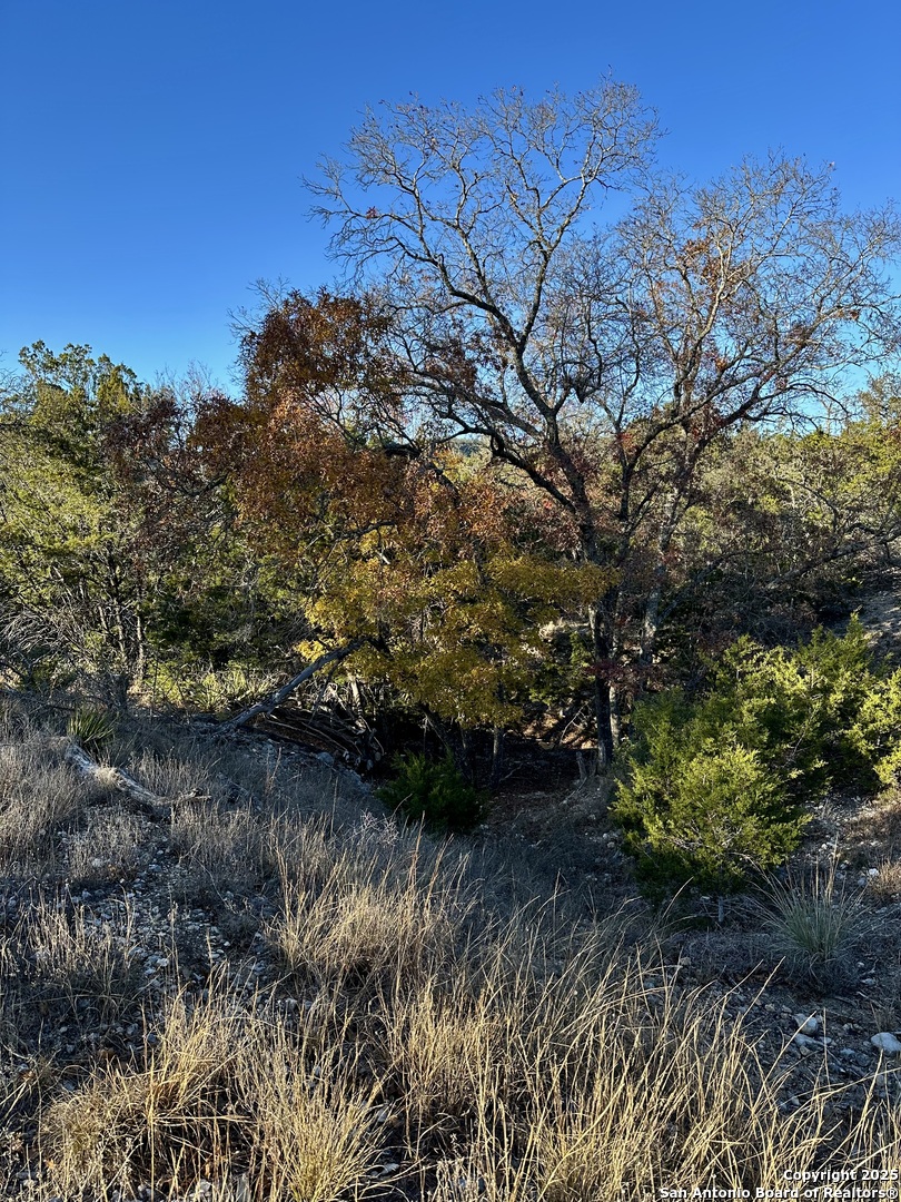 Lot 96 Black Jack Hollow Utopia TX 78884
