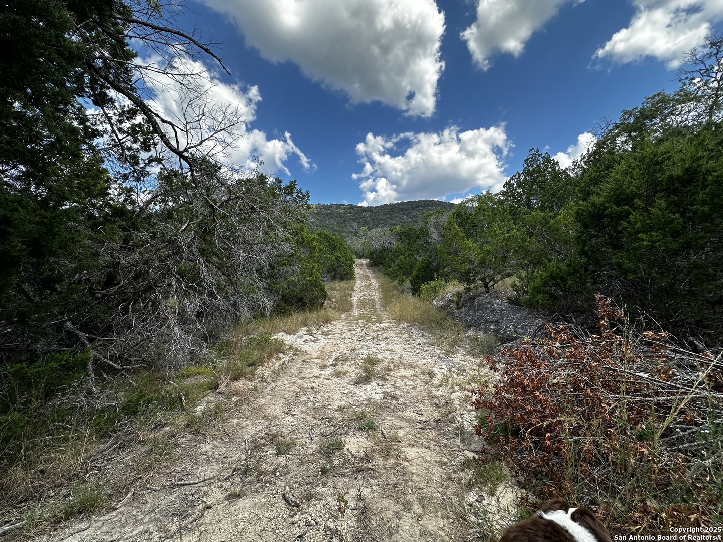 Lot 96 Black Jack Hollow Utopia TX 78884