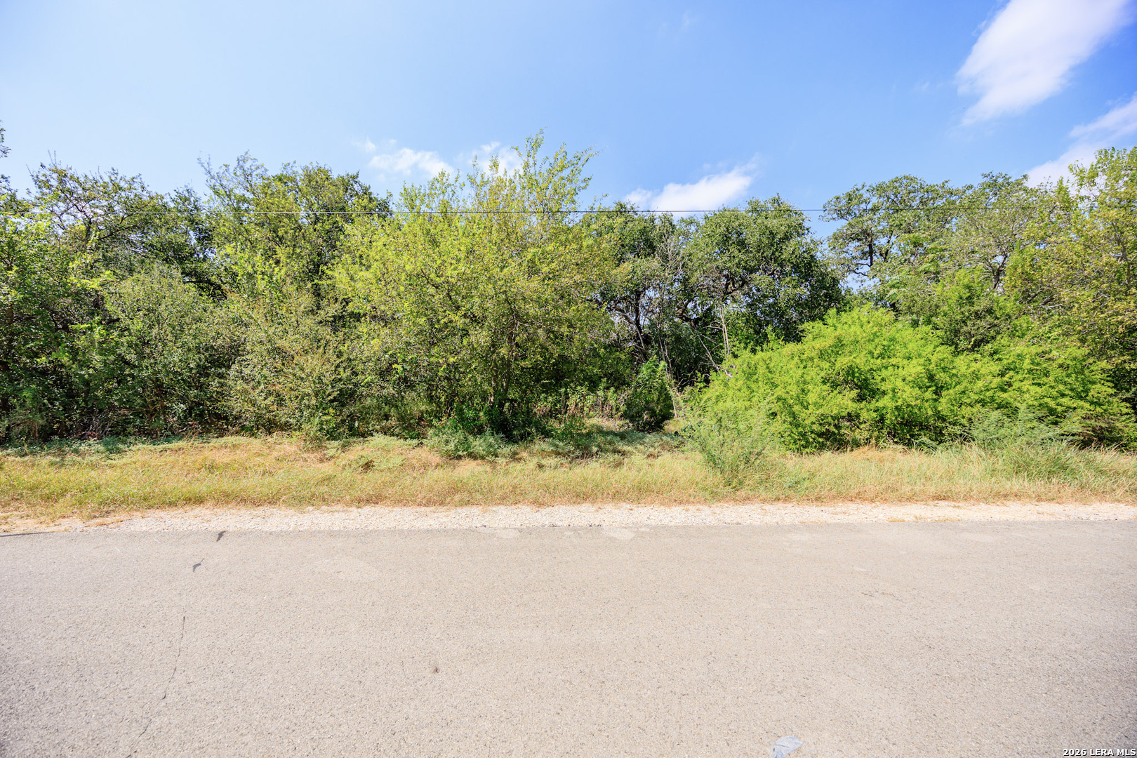 15409 Rhodius Lane Selma TX 78154