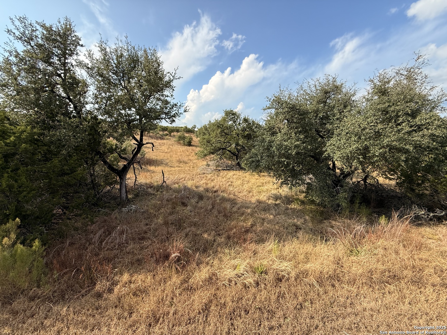 819 Mystic Breeze Spring Branch TX 78070