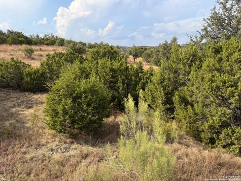 819 Mystic Breeze Spring Branch TX 78070