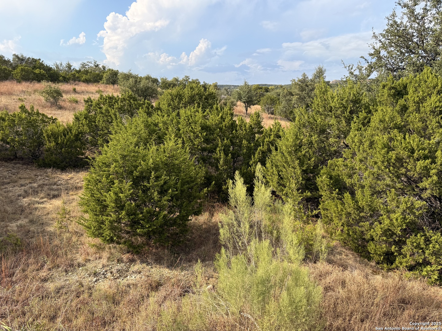 819 Mystic Breeze Spring Branch TX 78070