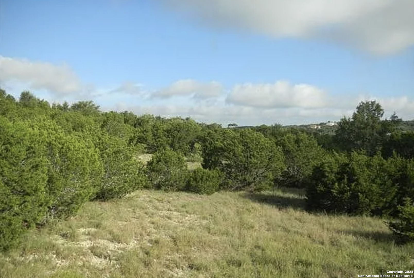819 Mystic Breeze Spring Branch TX 78070