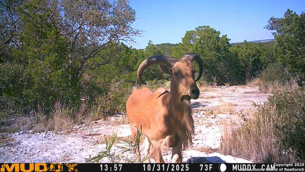 Tbd Cr 635 Rocksprings TX 78880
