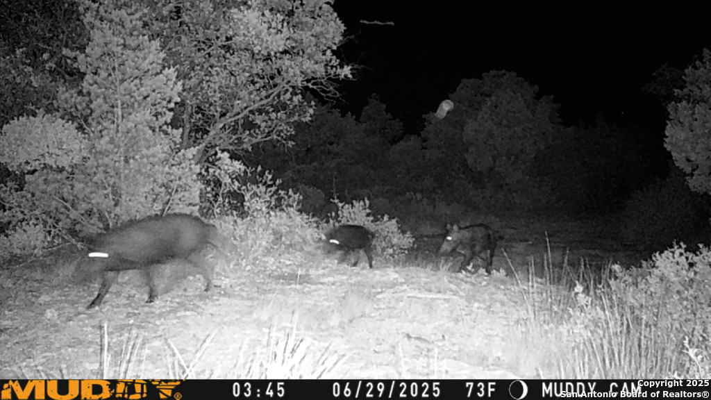 Tbd Cr 635 Rocksprings TX 78880