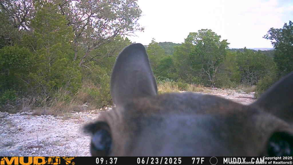 Tbd Cr 635 Rocksprings TX 78880