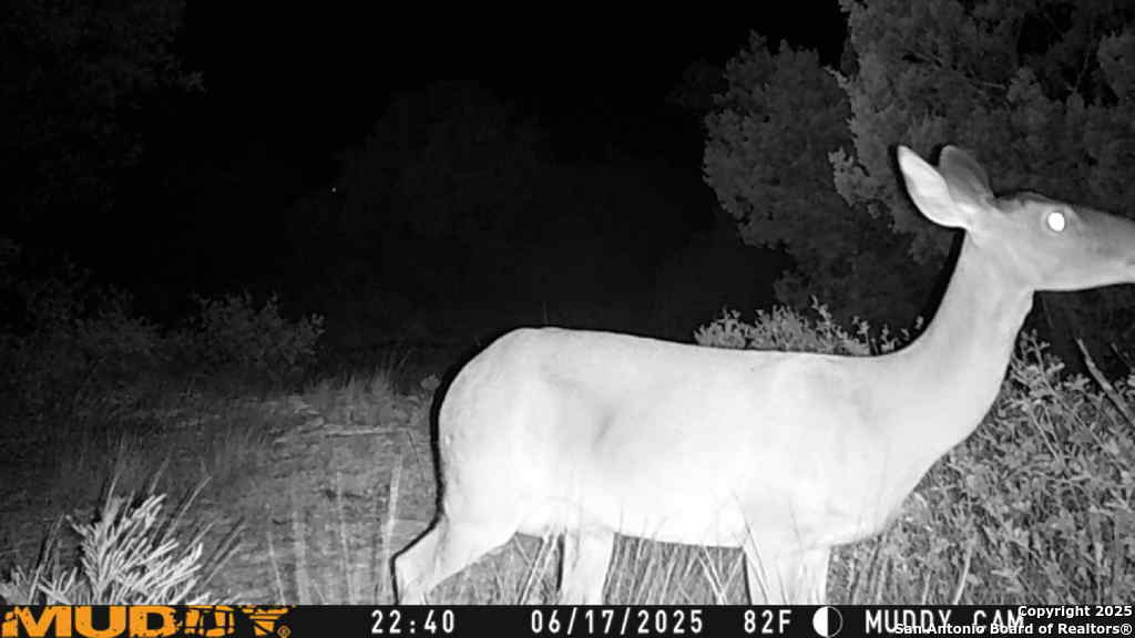 Tbd Cr 635 Rocksprings TX 78880