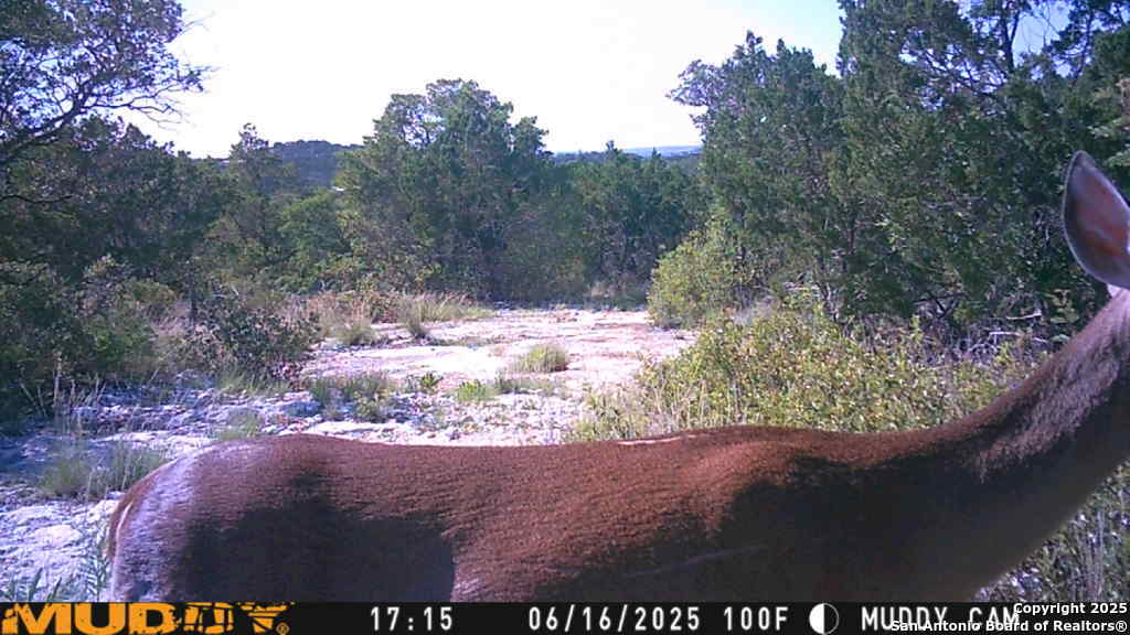 Tbd Cr 635 Rocksprings TX 78880