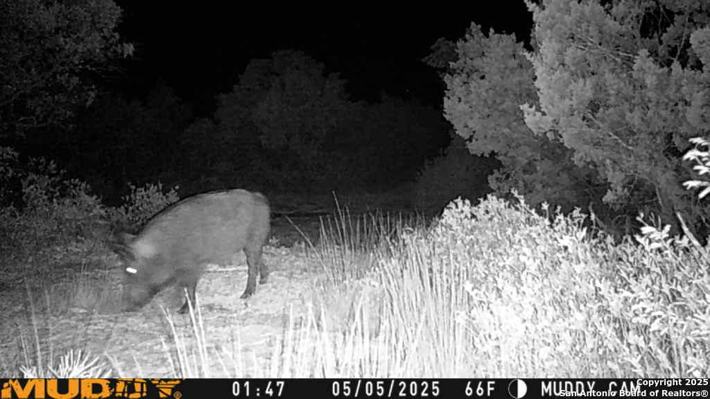 Tbd Cr 635 Rocksprings TX 78880