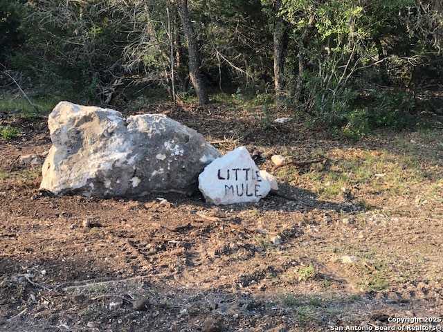 Tbd Cr 635 Rocksprings TX 78880