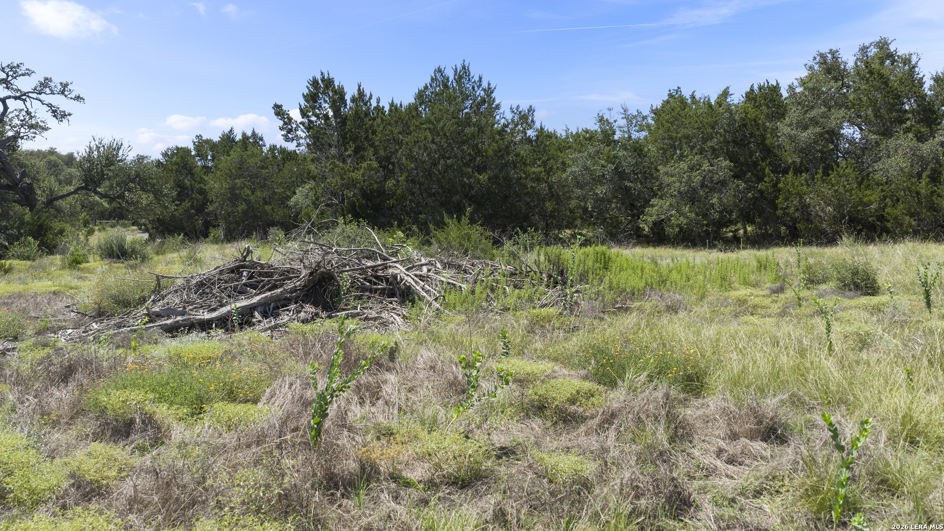 227 Mitchell Drive Spring Branch TX 78070