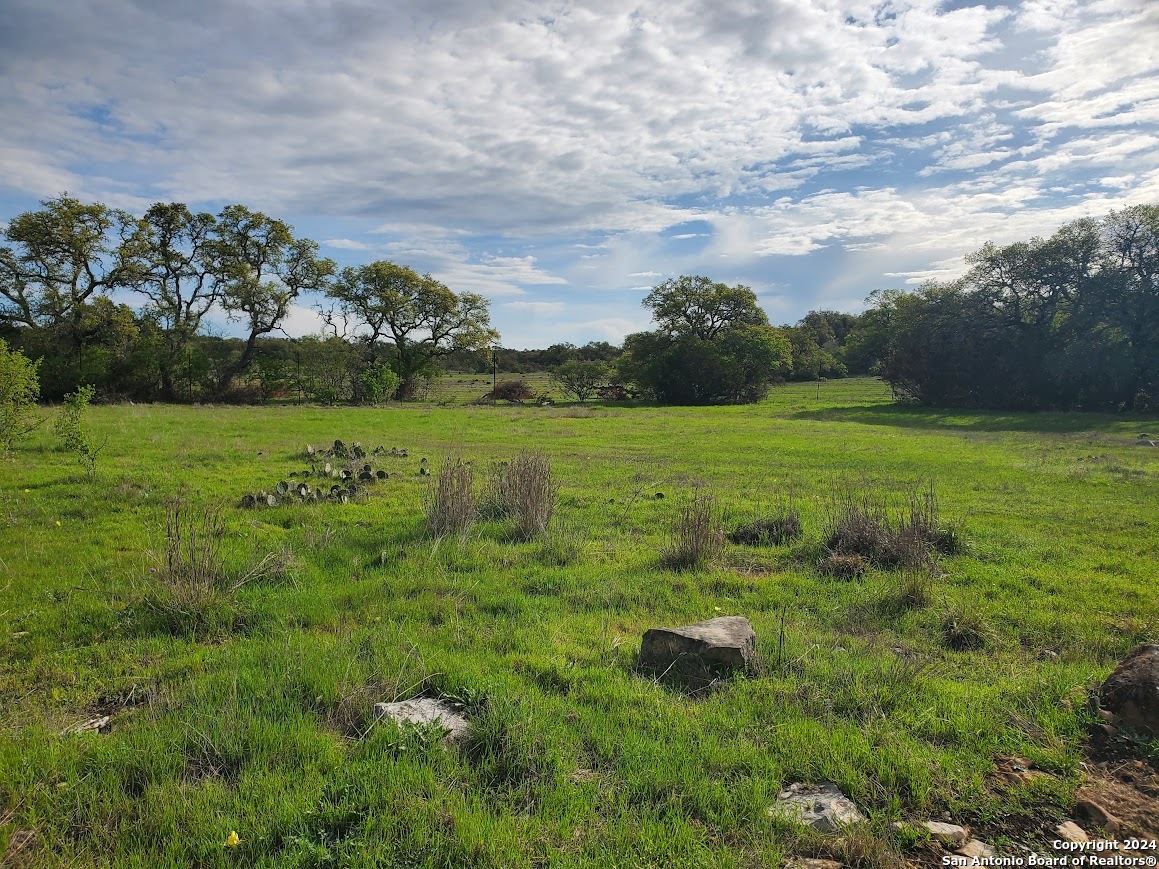 112 W Alex Jordan Blanco TX 78606