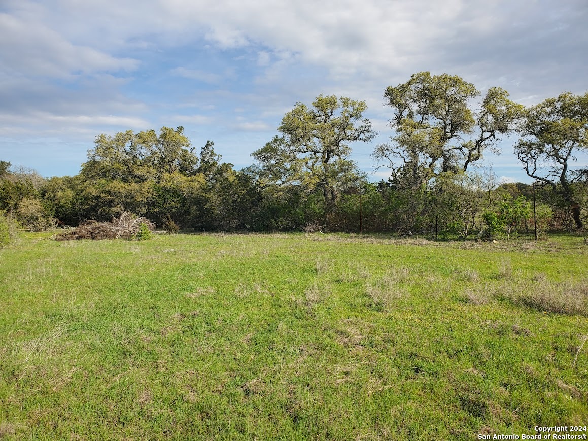 112 W Alex Jordan Blanco TX 78606