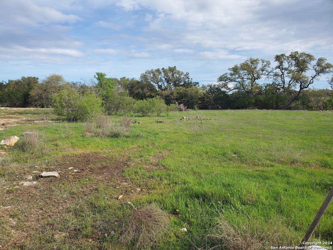112 W Alex Jordan Blanco TX 78606