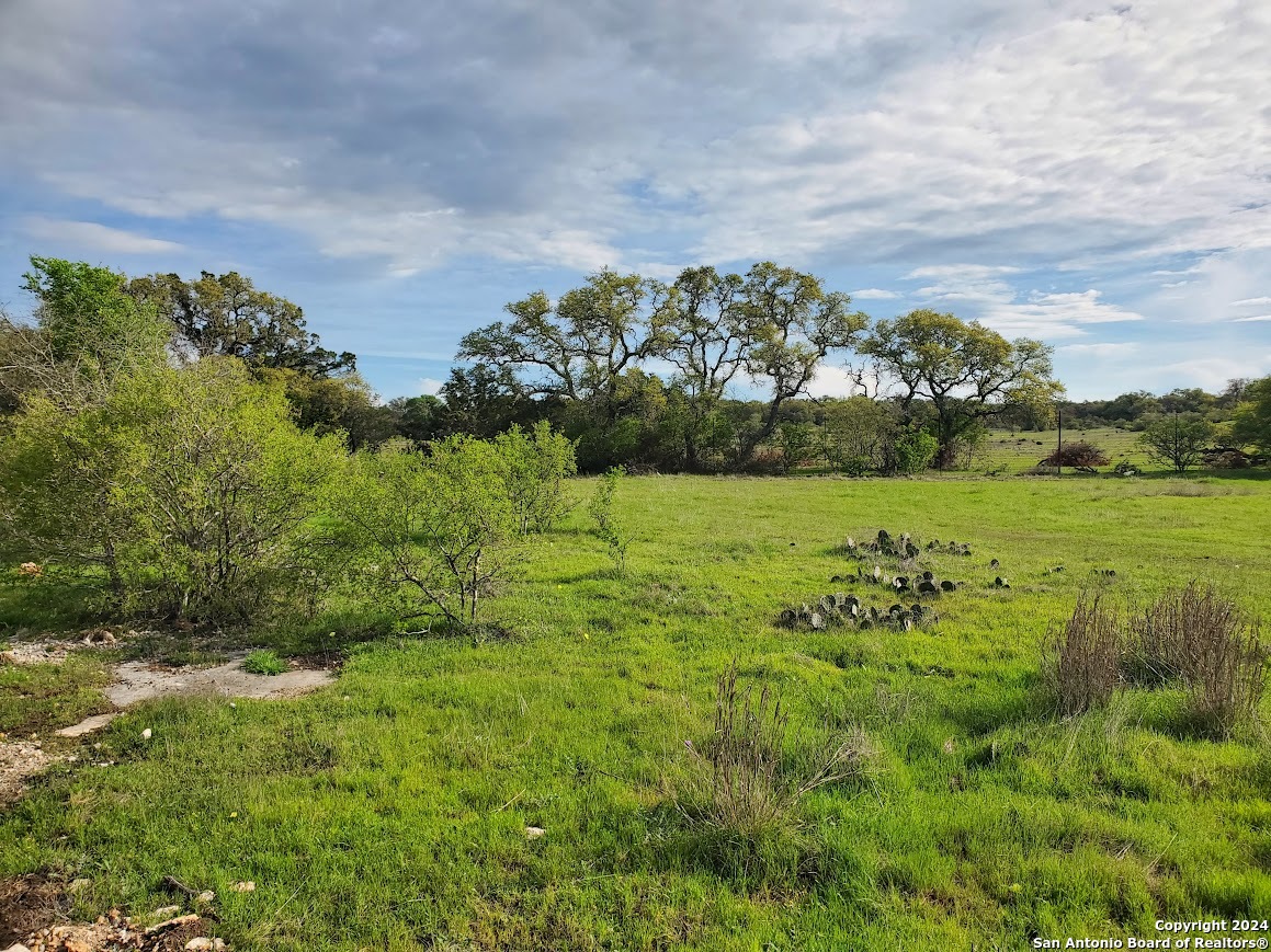 112 W Alex Jordan Blanco TX 78606
