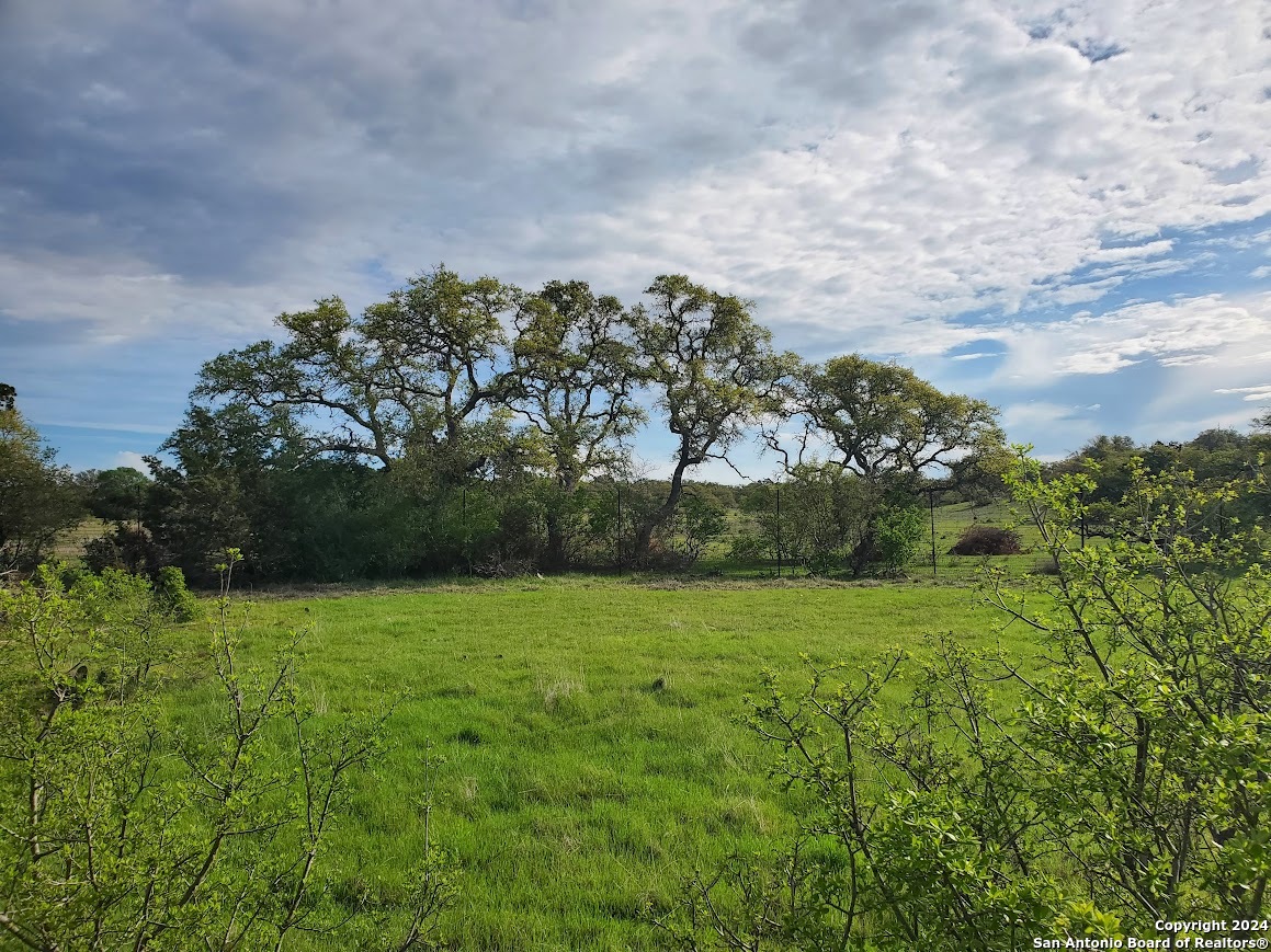 112 W Alex Jordan Blanco TX 78606
