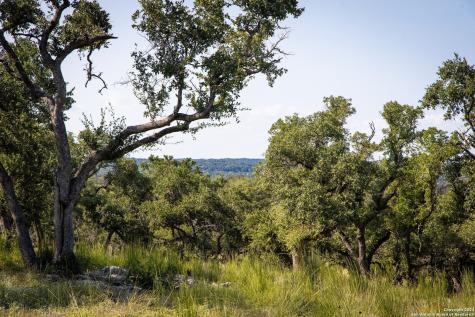 1914 Paradise Parkway Canyon Lake TX 78133
