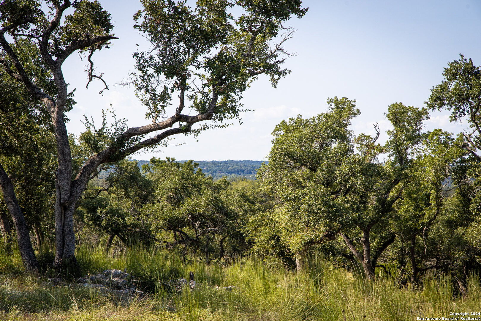 1914 Paradise Parkway Canyon Lake TX 78133