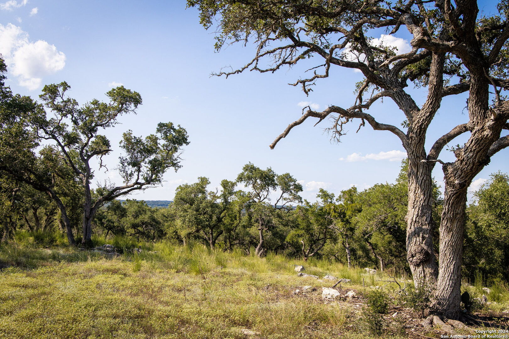 1914 Paradise Parkway Canyon Lake TX 78133