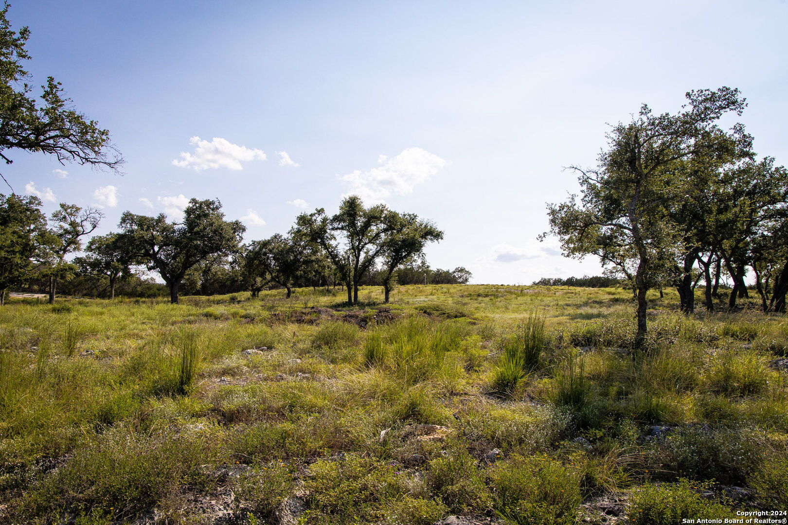1914 Paradise Parkway Canyon Lake TX 78133