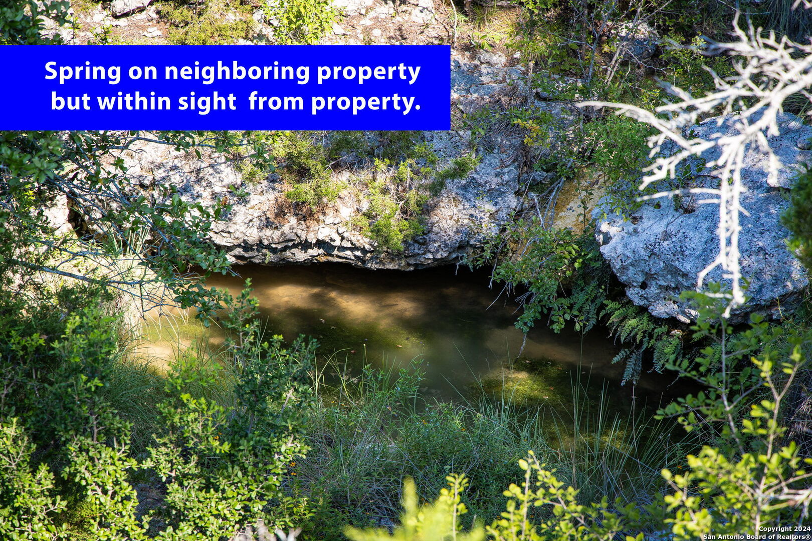 1914 Paradise Parkway Canyon Lake TX 78133