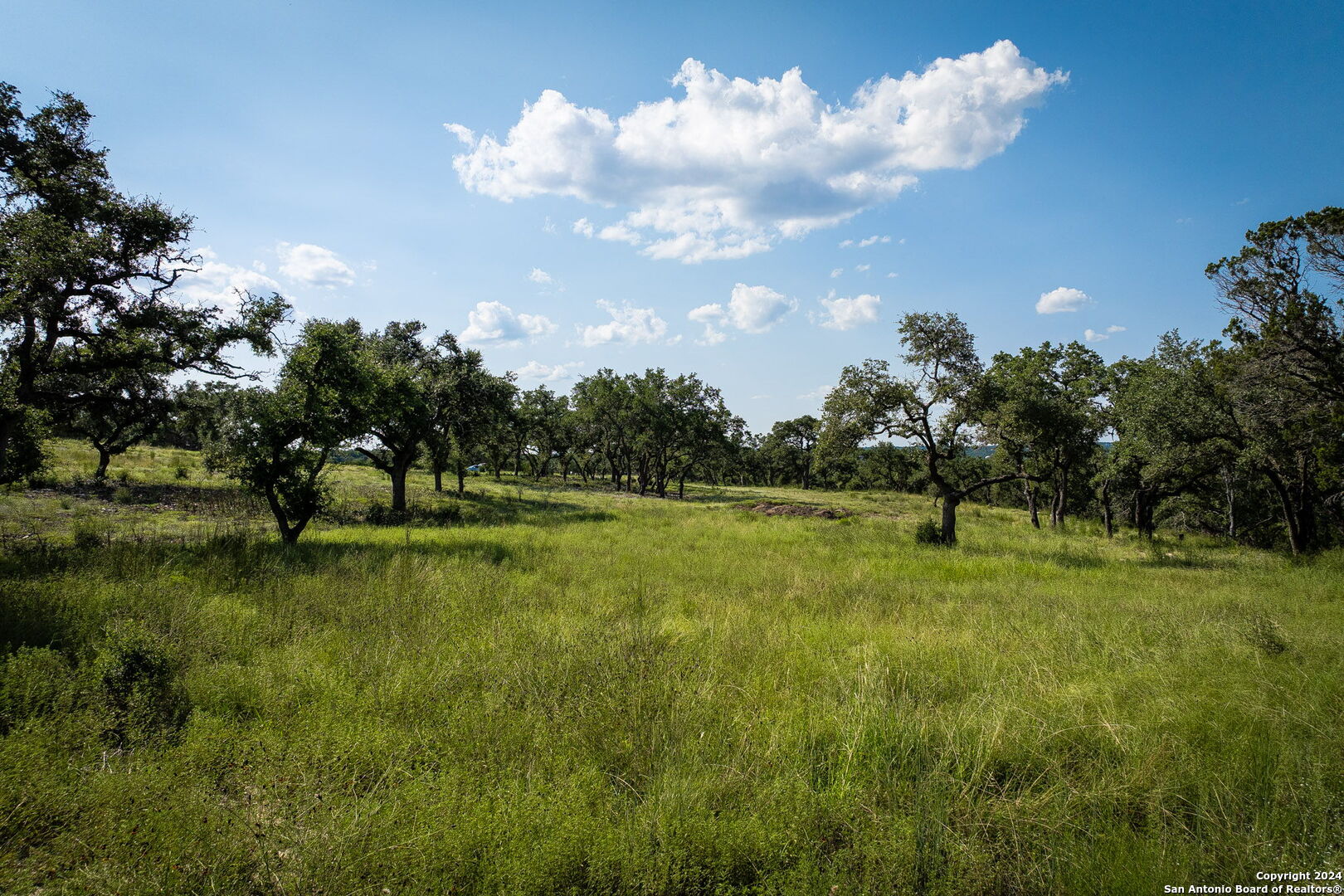 1914 Paradise Parkway Canyon Lake TX 78133