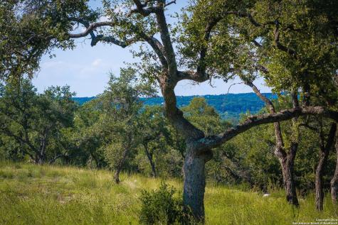 1914 Paradise Parkway Canyon Lake TX 78133