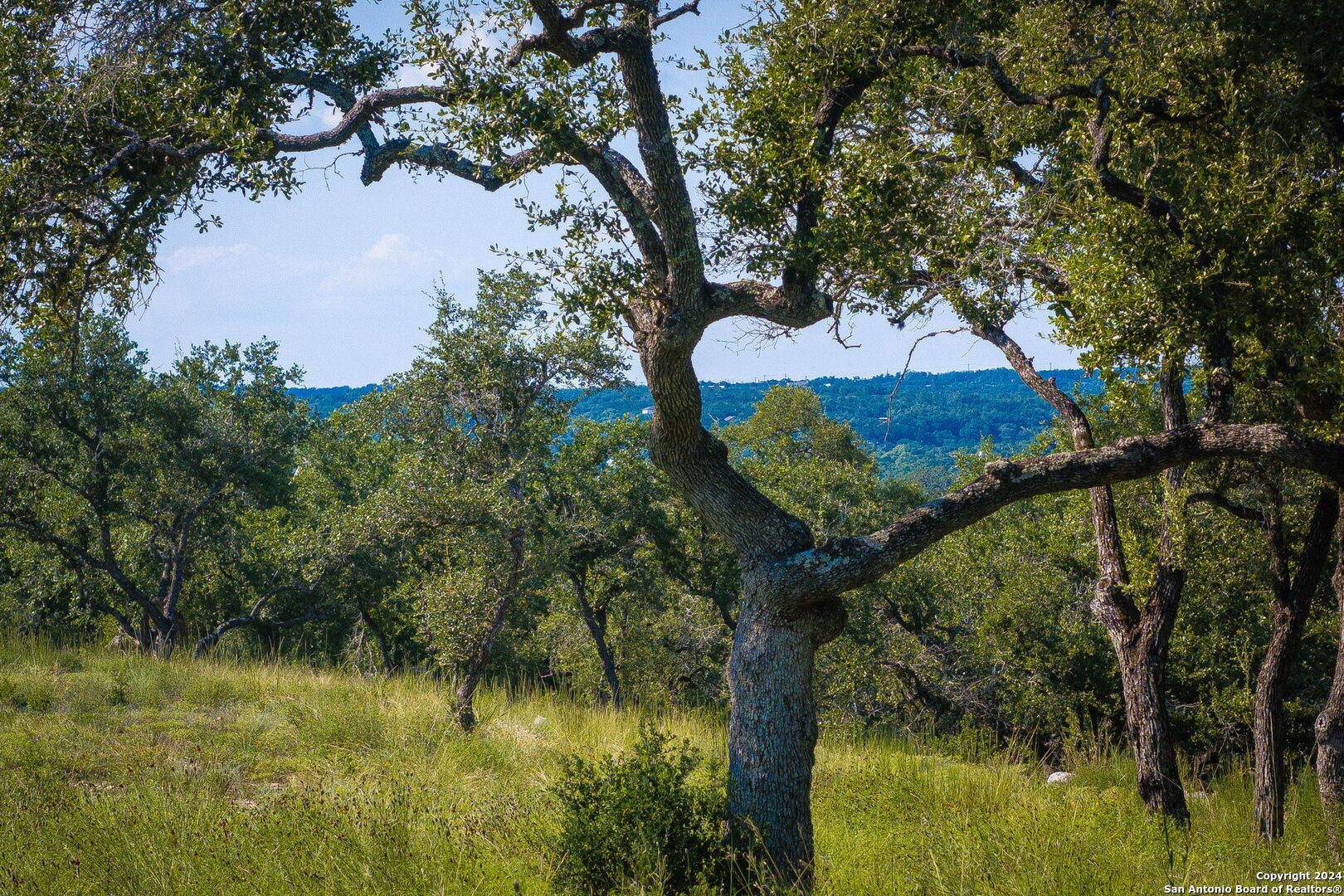 1914 Paradise Parkway Canyon Lake TX 78133