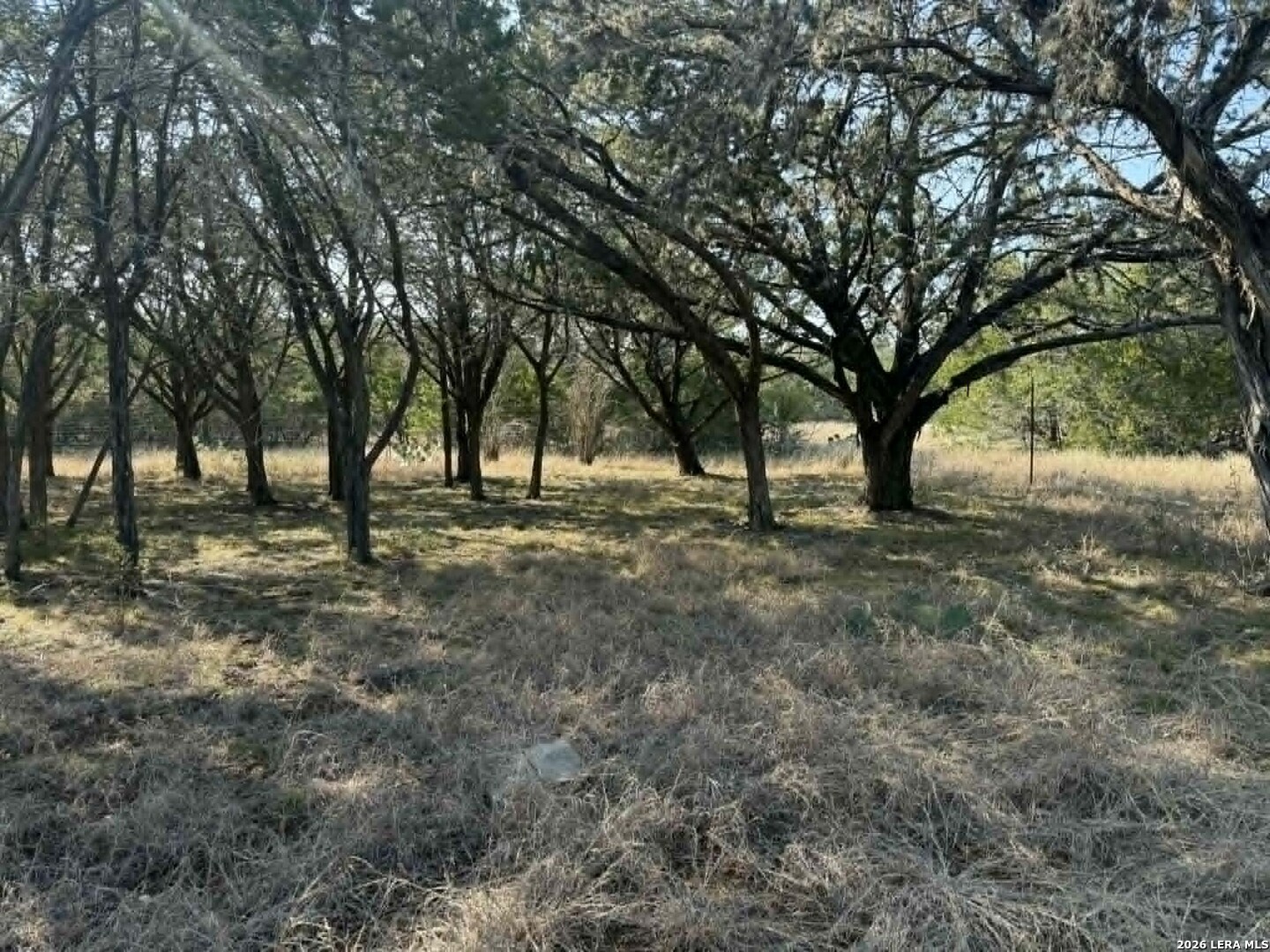 202 Itll Do Pipe Creek TX 78063
