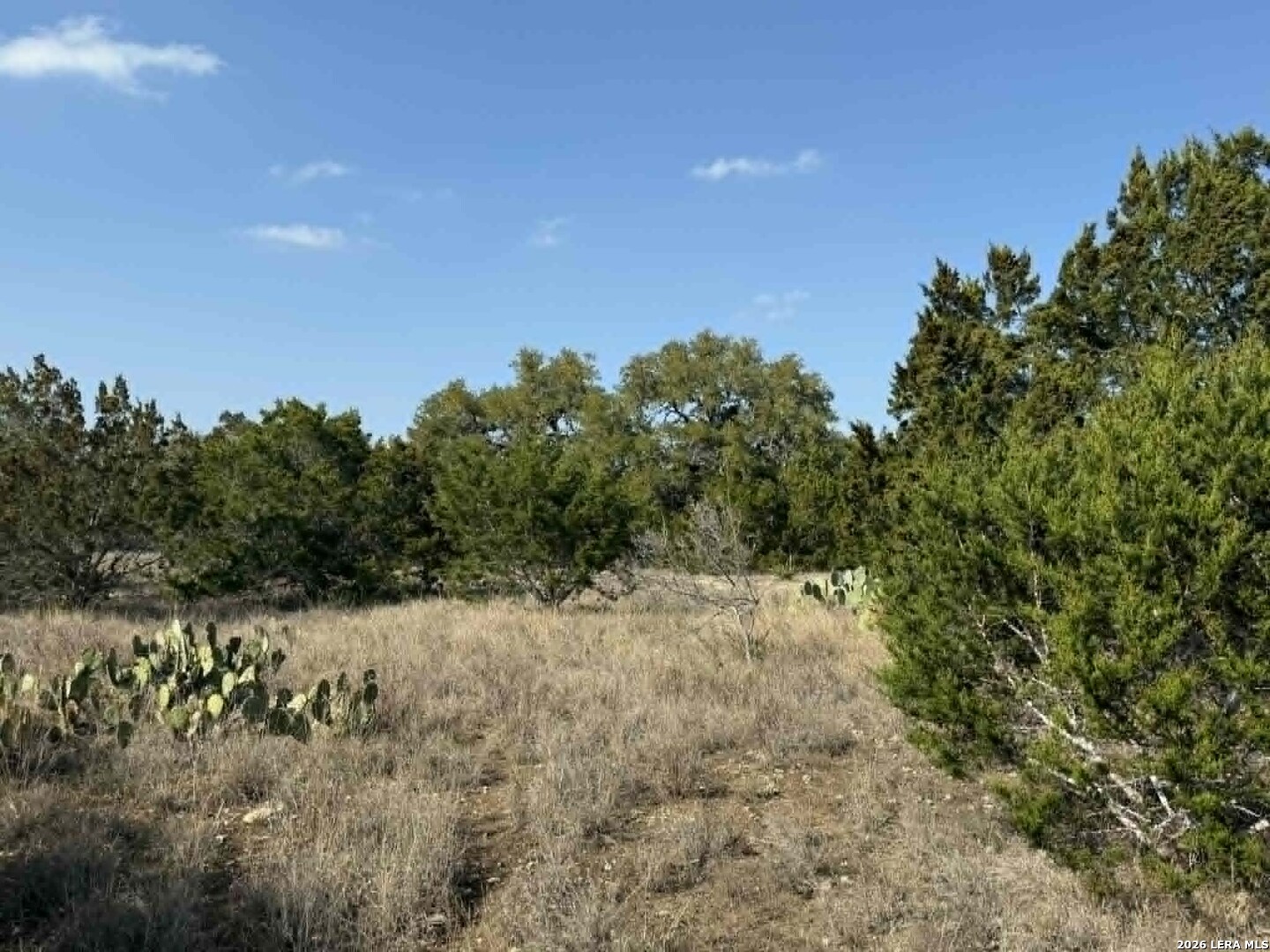 202 Itll Do Pipe Creek TX 78063