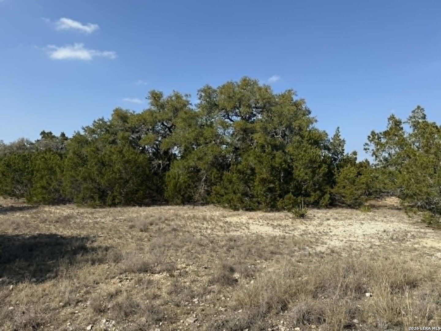 202 Itll Do Pipe Creek TX 78063