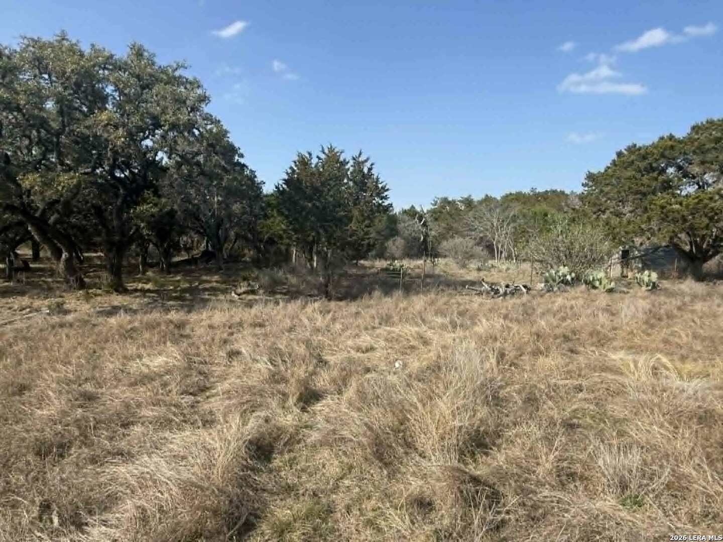 202 Itll Do Pipe Creek TX 78063