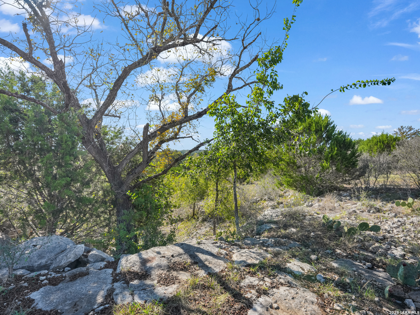 Lot 67 Sabinas Springs Road Boerne TX 78006