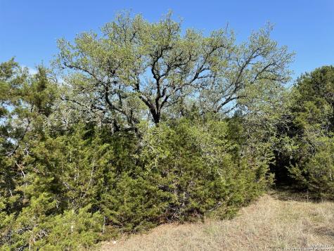 1865 Stallion Springs Drive Fischer TX 78623