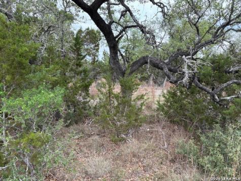 1865 Stallion Springs Drive Fischer TX 78623