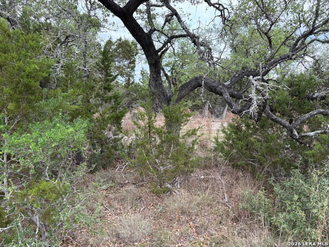 1865 Stallion Springs Drive Fischer TX 78623