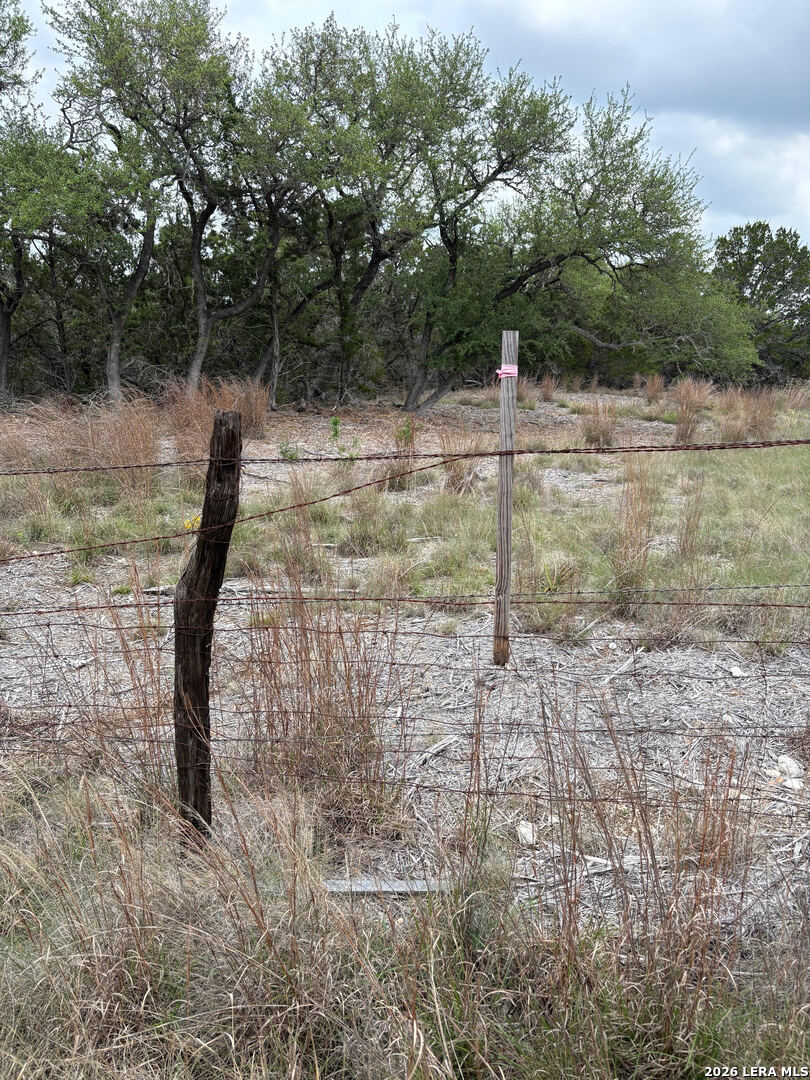 1865 Stallion Springs Drive Fischer TX 78623