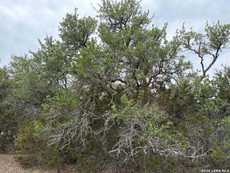 1865 Stallion Springs Drive Fischer TX 78623