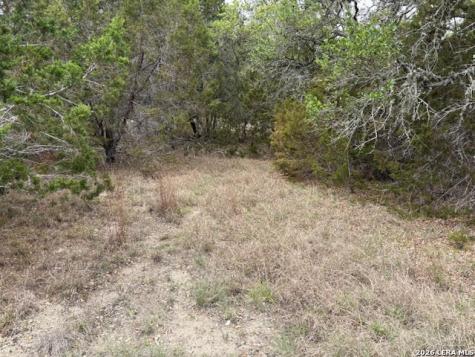 1865 Stallion Springs Drive Fischer TX 78623