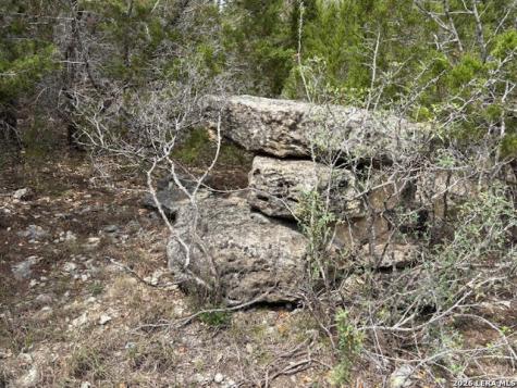 1865 Stallion Springs Drive Fischer TX 78623