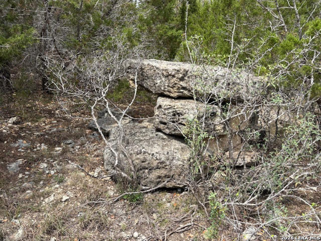 1865 Stallion Springs Drive Fischer TX 78623
