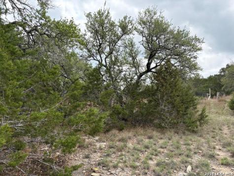 1865 Stallion Springs Drive Fischer TX 78623