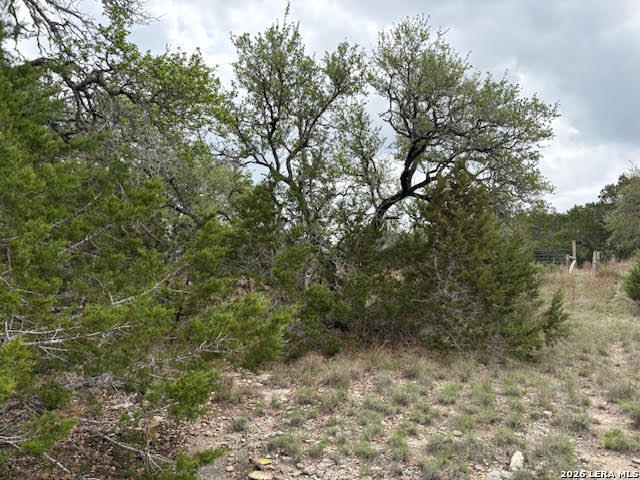 1865 Stallion Springs Drive Fischer TX 78623